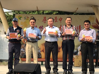台中枇杷甜美多汁又大顆 農業局北上行銷