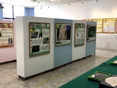 「蟲蟲大樂隊—鳴蟲特展」校園巡迴展,即日起至4月23日在北屯區仁愛國小展出