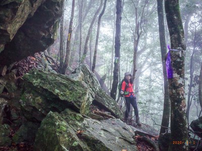 「谷關七雄登山趣」迴響熱烈 中市府加碼完登證書限期追加申請
