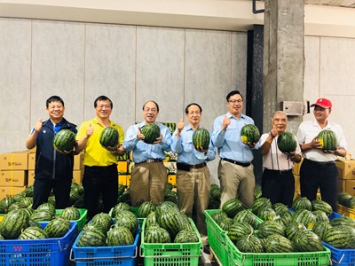 助農民度難關 中市企業認購4噸西瓜