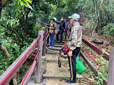 荔枝椿象不要來! 中市府啟動平腹小蜂生態防治