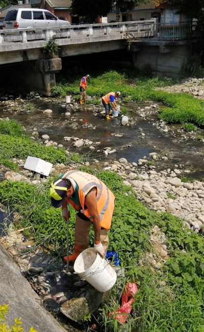 炎熱東大溪出現死魚 中市府清理並慎重稽查源頭