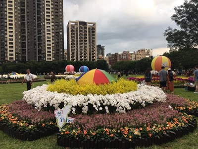 台中再添打卡熱點 同心圓花卉裝置藝術現蹤市民廣場