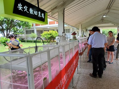 校園建置智慧農業科技,實現庭院式自動培植系統,讓師生經由智慧培植箱的種植生產履歷過程,從課堂中學習農作物如何培植跟生長,發揮食農教育精神