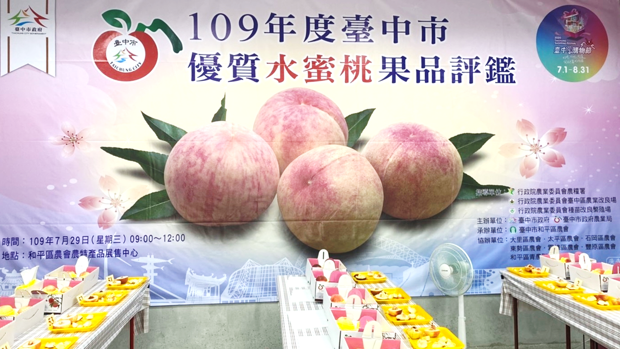 台中和平區梨山是全台最大的水蜜桃產地