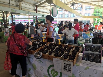 行銷台中優質農產 農業局北上展售葡萄、高接梨、水蜜桃