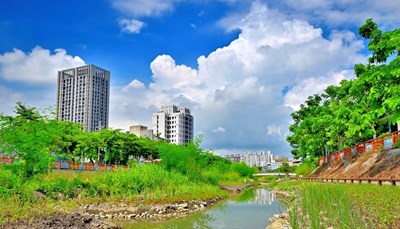 人工溼地