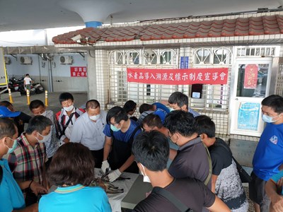 人道處理漁獲「尚青」！中市農業局推水產食安保鮮