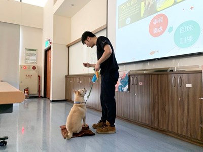 中市府分享超實用毛孩訓練密技 解決毛孩爸媽困擾