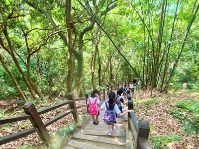 大坑步道呼吸芬多精,放鬆身心靈