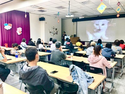 迷你虎退散!中市府講座傳授貓咪行為學