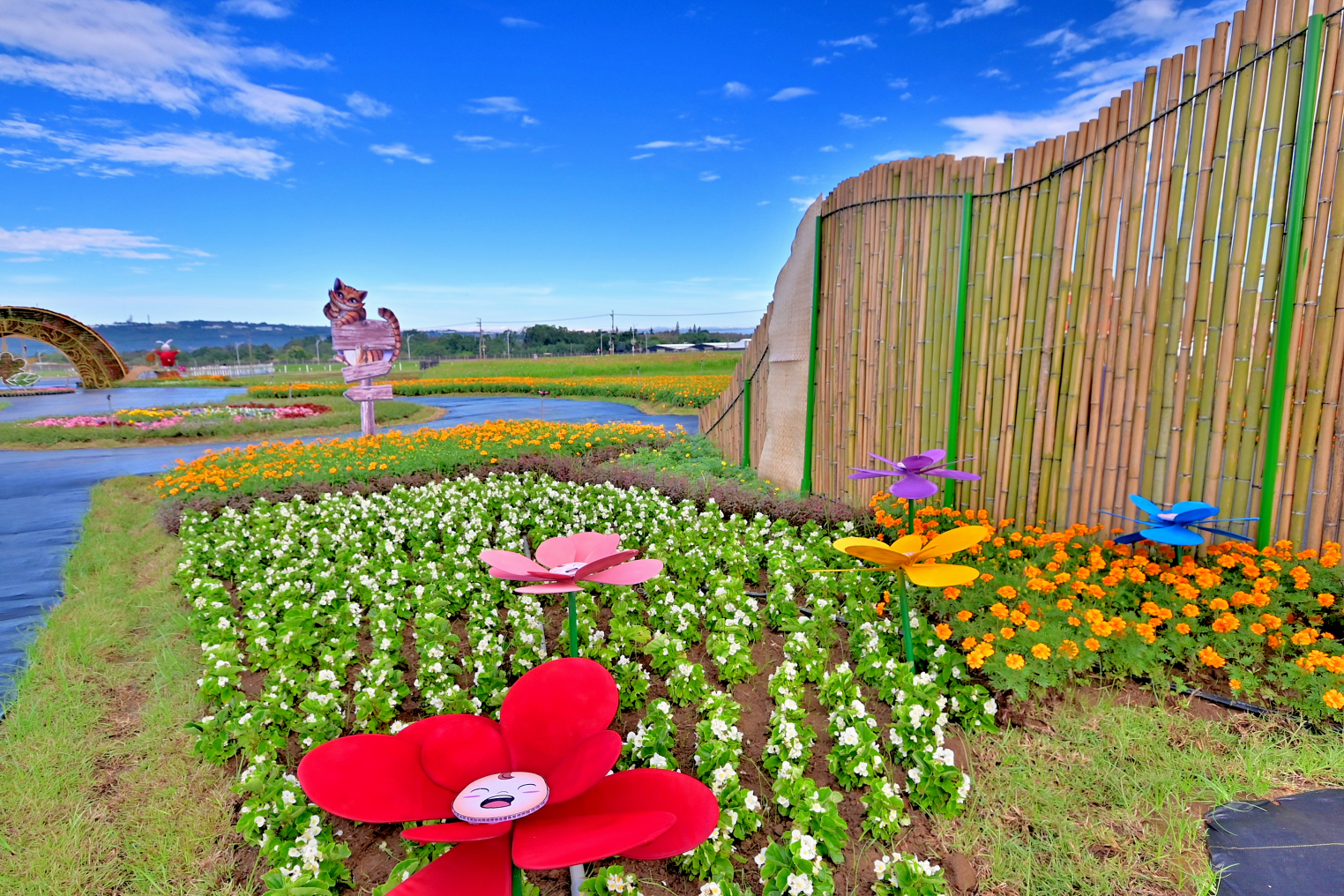 台中山城好好玩 中市府觀旅局邀您來暢遊國際花毯節