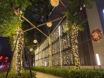 點亮台中夜空! 中市府開放行道樹免收規費掛燈飾