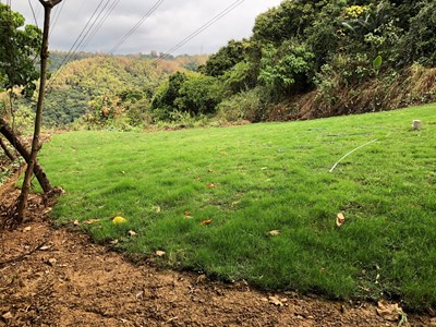 山坡地開發利用應依法提出申請,並確實依核定計畫實施
