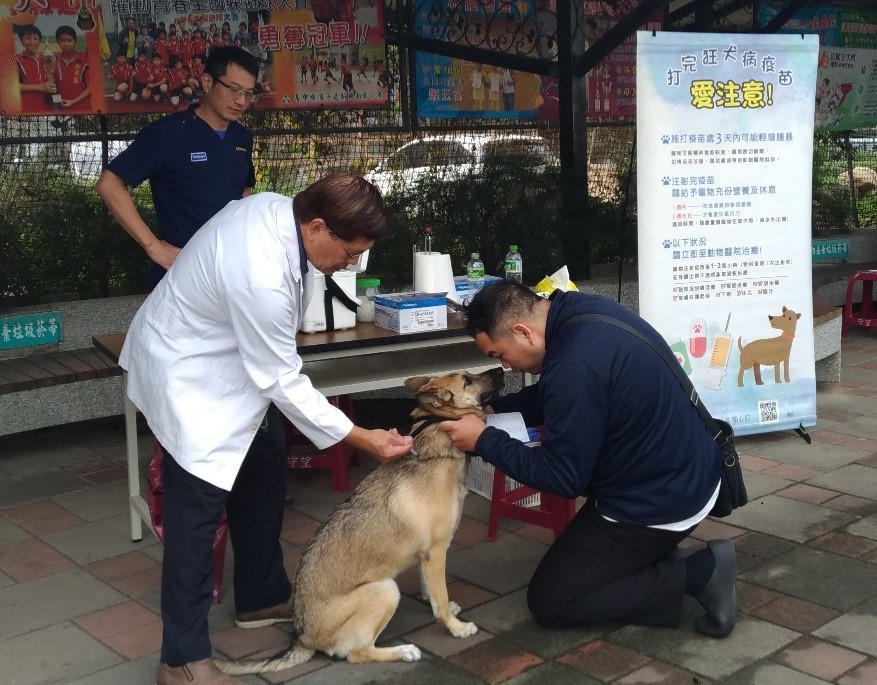 寵愛毛孩一起來 中市3、4月狂犬疫苗注射場次出爐