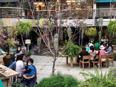 體驗東海藝術街魅力 露天茶聚今登場