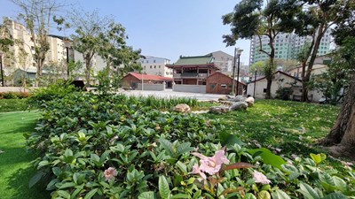 優化設施串聯地方特色  西平大漁池文化公園啟用