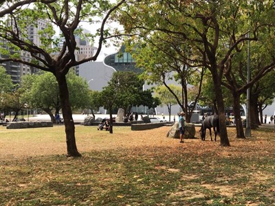 昨日一民眾於夏綠地公園溜馬 中市府立即勸離呼籲民眾勿觸法