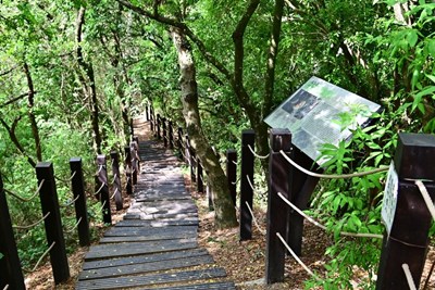 防疫踏青首選中臺科大觀音山步道