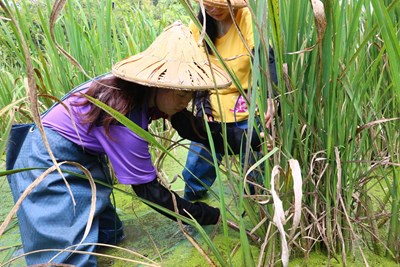 110年度新增地方創生產業體驗