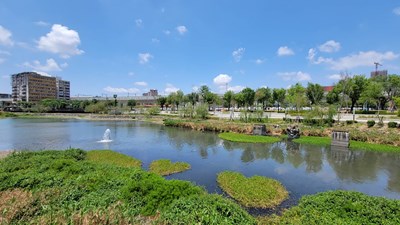 守護星泉湖生態 中市建設局引回收水穩定水位