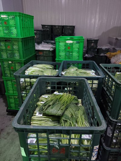 買菜免出門! 中市網購「蔬菜箱」三天銷售破百萬