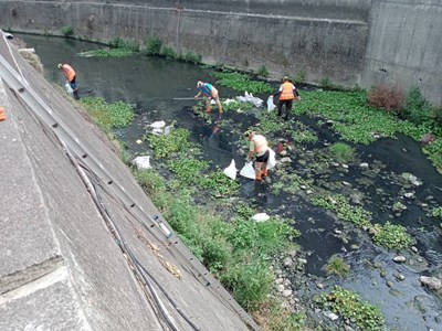 排水道魚群暴斃多 中市府分工合作確保河域環境品質