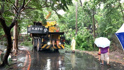 熱帶低氣壓夾帶大雨來襲 中市府持續加強路樹巡檢