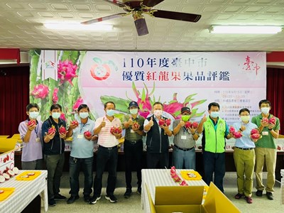 中市優質紅龍果評鑑出爐 外埔區劉興陽封王