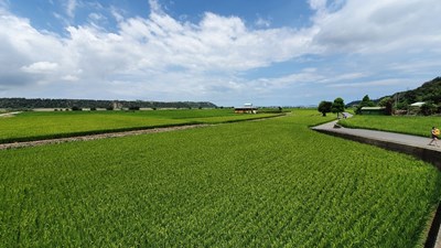 提高調解成立比率 中市地政局公開耕地三七五調解案例