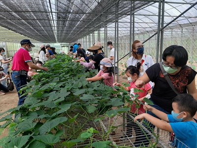 「梨濃我濃甜似蜜」活動