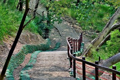 提高安全和舒適性  大肚瑞井登山步道完工