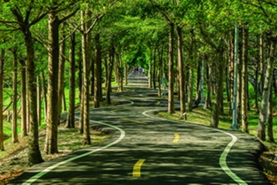 潭雅神綠園道
