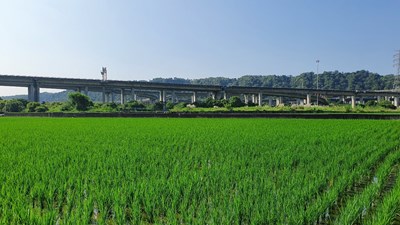 耕地三七五租約期滿工作考評 中市地政局榮獲優等佳績