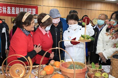 梨山家政班木竹藝之美 盧市長以行動給予支持肯定