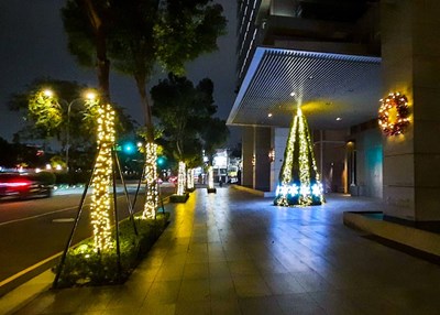 點亮台中夜! 中市府開放行道樹懸掛燈飾、免收規費