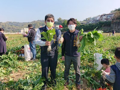 阿罩霧好彩頭親子田間拔蘿蔔趣味