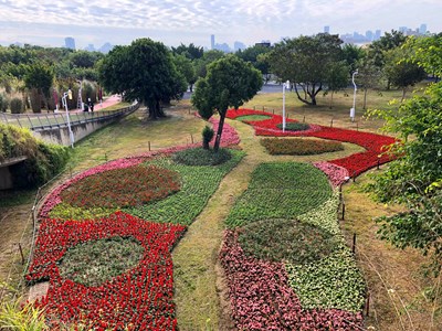 超吸睛！  中央公園春節迎賓 三大主題花海成打卡景點