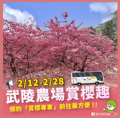 武陵櫻花
