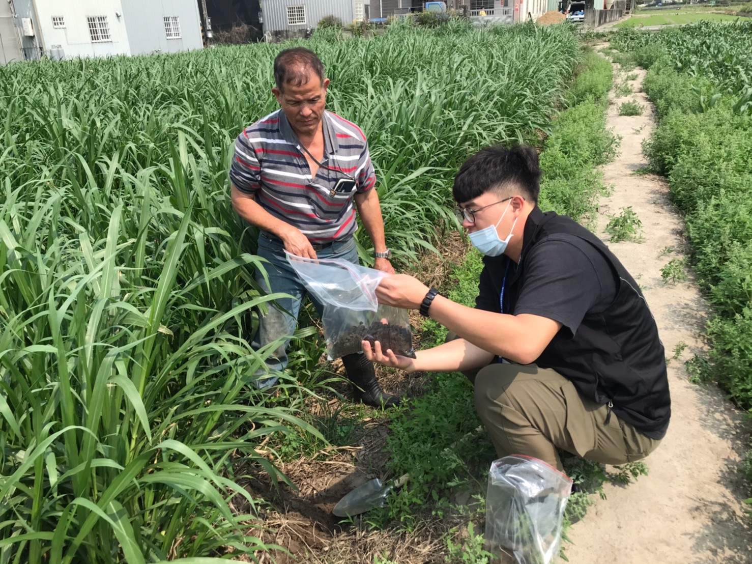 化肥限購免驚！ 天然有機沼肥環保又抗漲 免費送到家