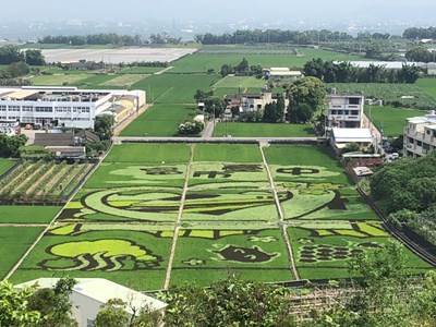 富市台中漫遊水流東彩繪稻田