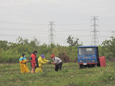 梅雨鋒面過境 中市農業局籲請農友加強防範