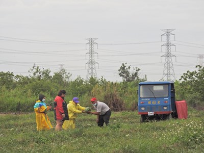 梅雨鋒面過境  中市農業局籲請農友加強防範