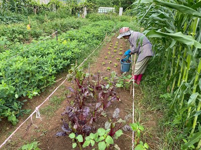 中市「環保農園」即起開放報名 抽30名幸運兒免費耕種5個月