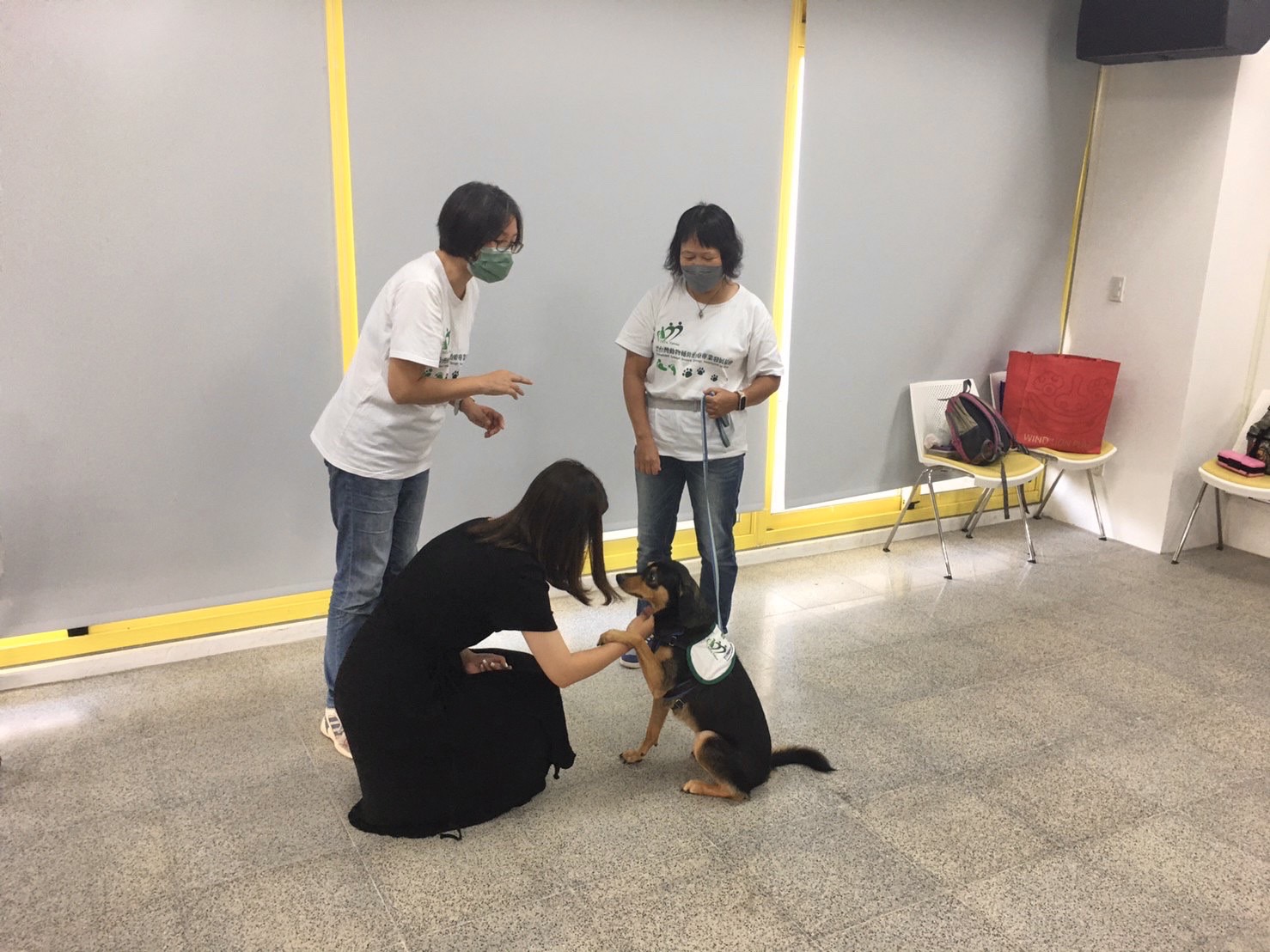 中市 幸福毛孩生活課程 親子共學認識治療犬 台中新聞網 大台灣新聞網
