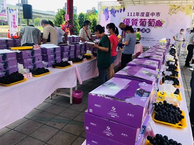中市優質葡萄評鑑結果揭曉