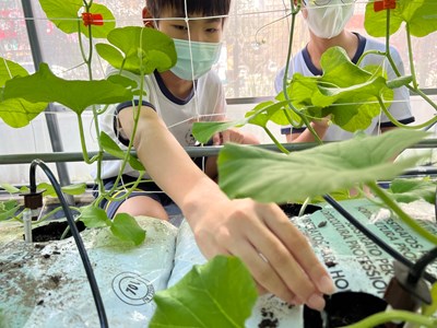 中市深耕數位教育 光復國中小生化身「智慧小青農」