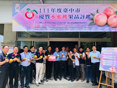 台中優質水蜜桃評鑑結果揭曉 農友林金全奪今年度水蜜桃達人