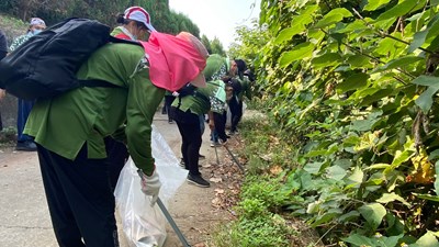 後壁農路淨山活動照片