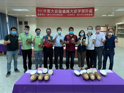 臺中市優質大安芋頭評鑑 與您相芋~農友卓國章奪冠